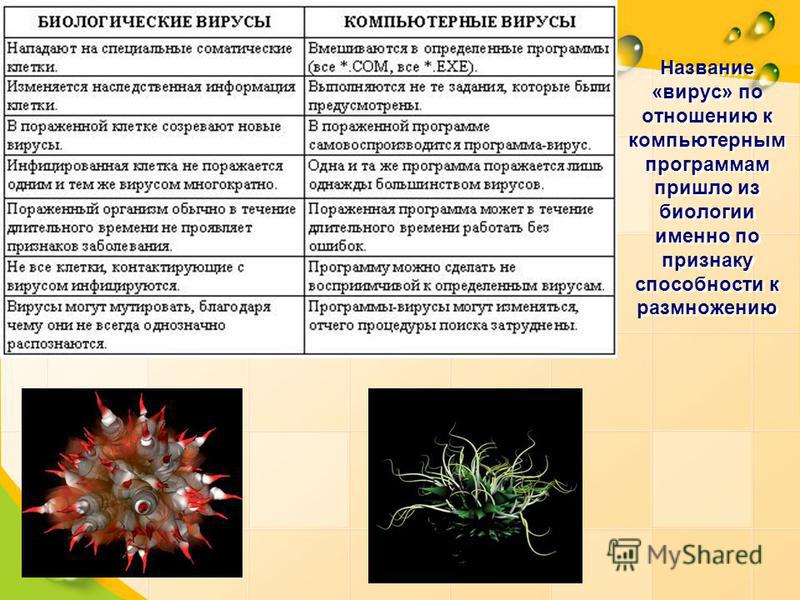 По какому признаку не классифицируются компьютерные вирусы