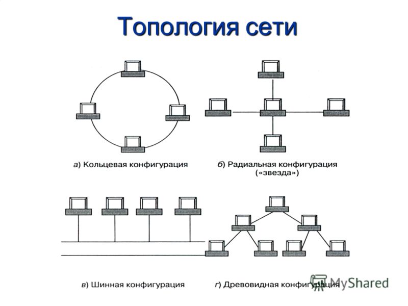 Схема топологии дерево