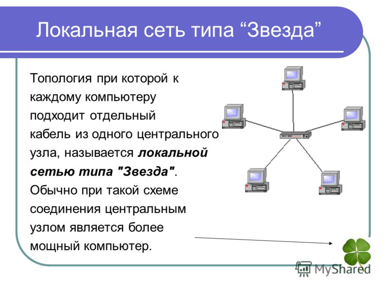 Поясните принцип соединения компьютеров локальной сети звезда и линейная шина