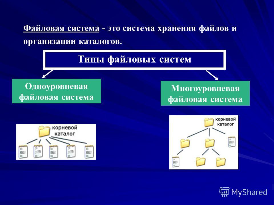 Для хранения файлов предназначенных. Файловые структуры 7 класс информ. Файл и файловая система 7 класс. Файлы и файловые структуры 7 класс. Файлы и файловые системы 7 класс Информатика.