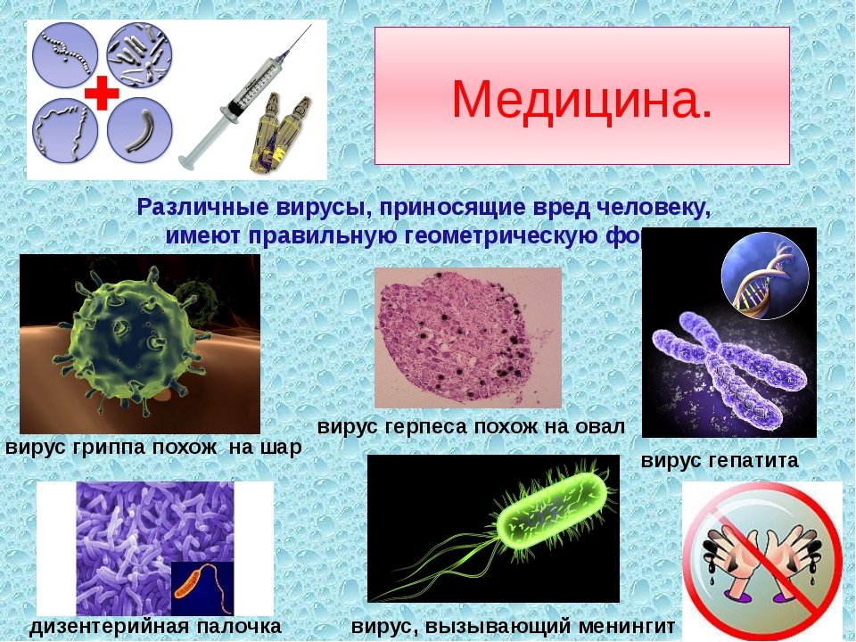 Вирусы названия 5 класс. Вирусы названия. Название вирусов и бактерий. Вирусы и бактерии биология. Видовые названия вирусов.