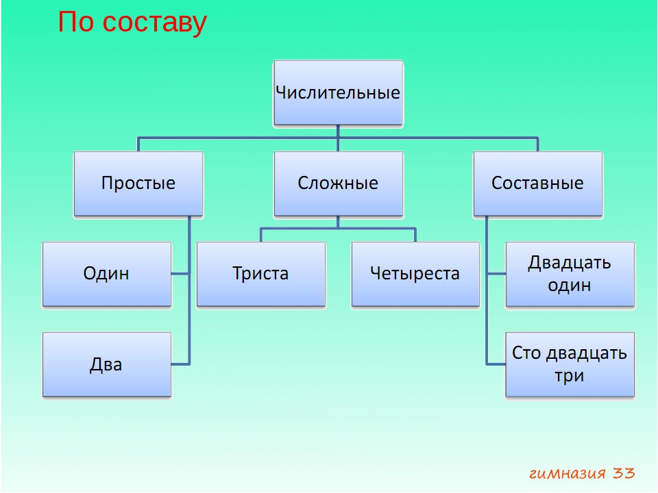 Мини проект по информатике 6 класс