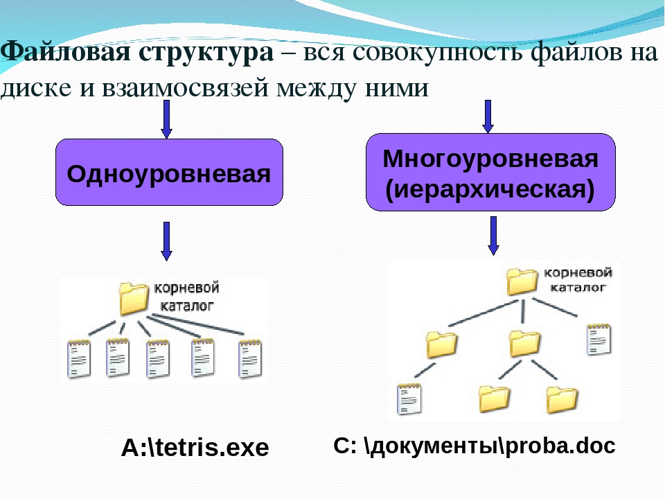 Определите организацию хранения данных. Файловая структура диска Информатика 7. Файловые структуры 7 класс Информатика. Файловая система 7 класс Информатика. Информатика 7 класс файлы и файловые структуры.