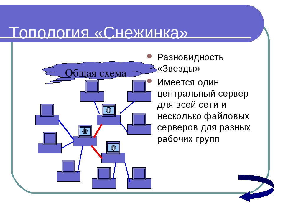 Схема топологии дерево