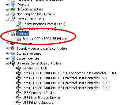 windows 10 не видит принтер canon