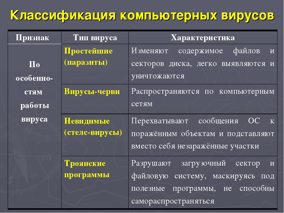 Компьютерные вирусы их классификация и средства борьбы с ними проект