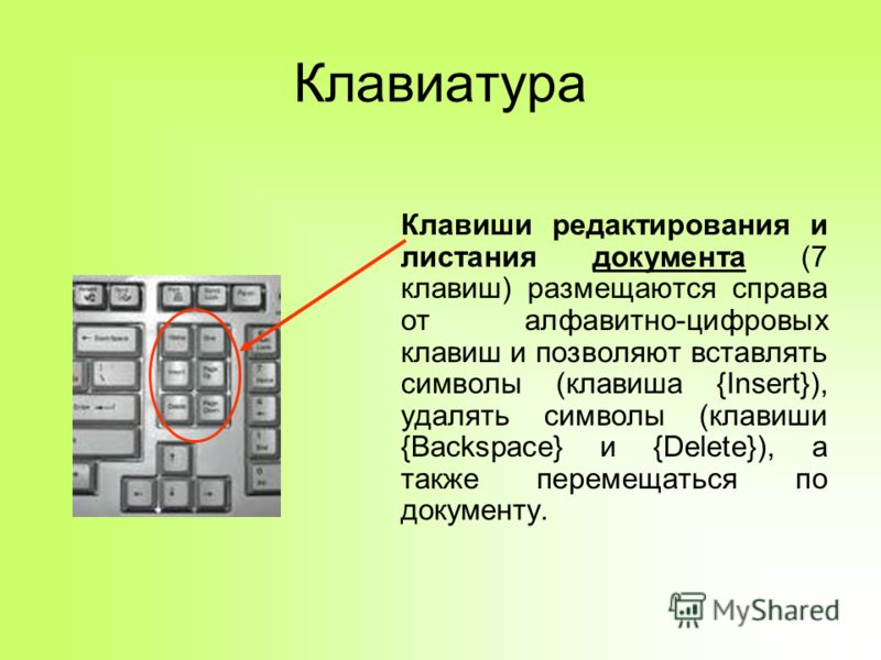 Нажатием какой клавиши на клавиатуре sun вызывается панель формул в текстовом документе