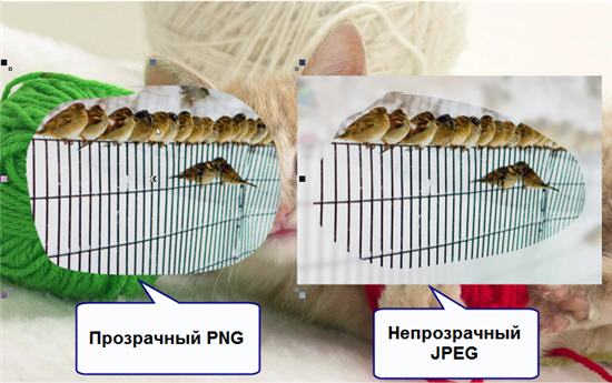 Прозрачный скриншот произвольной формы