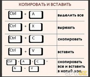 Копирование текста с помощью клавиатуры