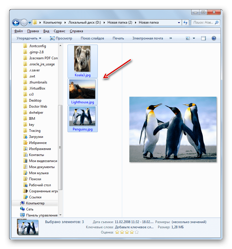 Содержимое архива ZIP распаковано в Проводнике Windows