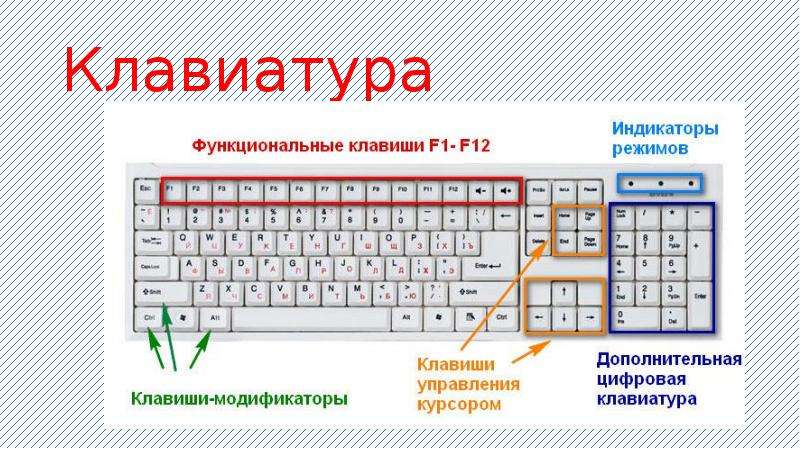 Как копировать текст на макбуке клавиатурой