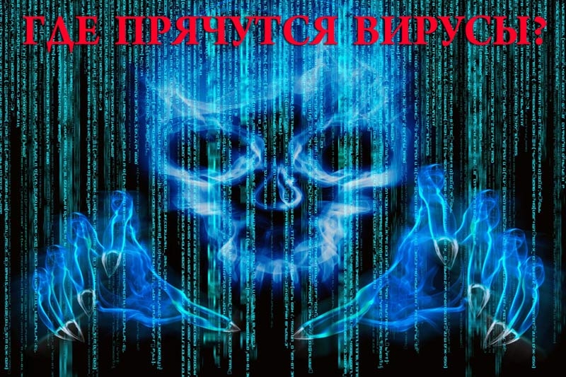 Где прячутся вирусы