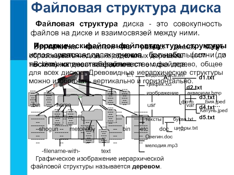 Какая файловая структура применяется в современных компьютерах 14 букв