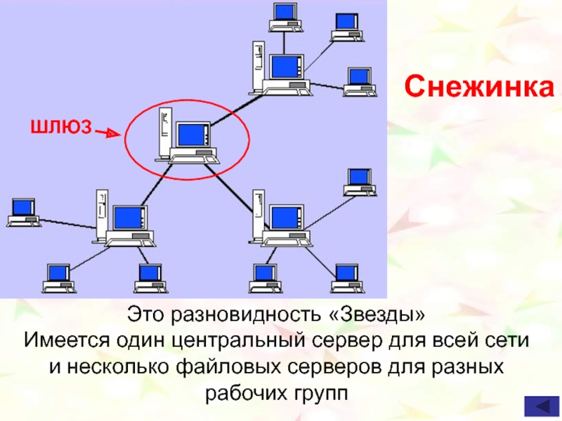 Древовидная структура каталогов на диске это