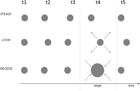 Figure 1 - Three different conditions presented to the participants with the steady, loom, and receding target as the fourth stimulus in a series of five (t1–t5).
